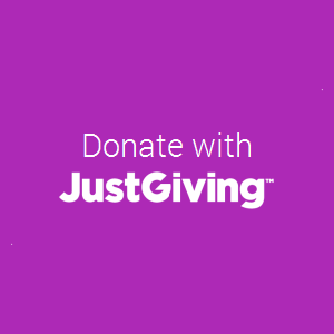 just giving donate button